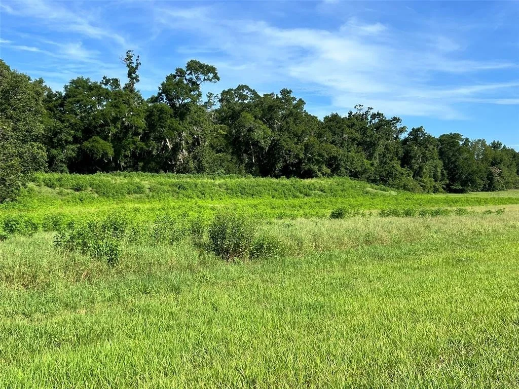 Photo of Unit LOT5 at 0 SE 8TH AVENUE