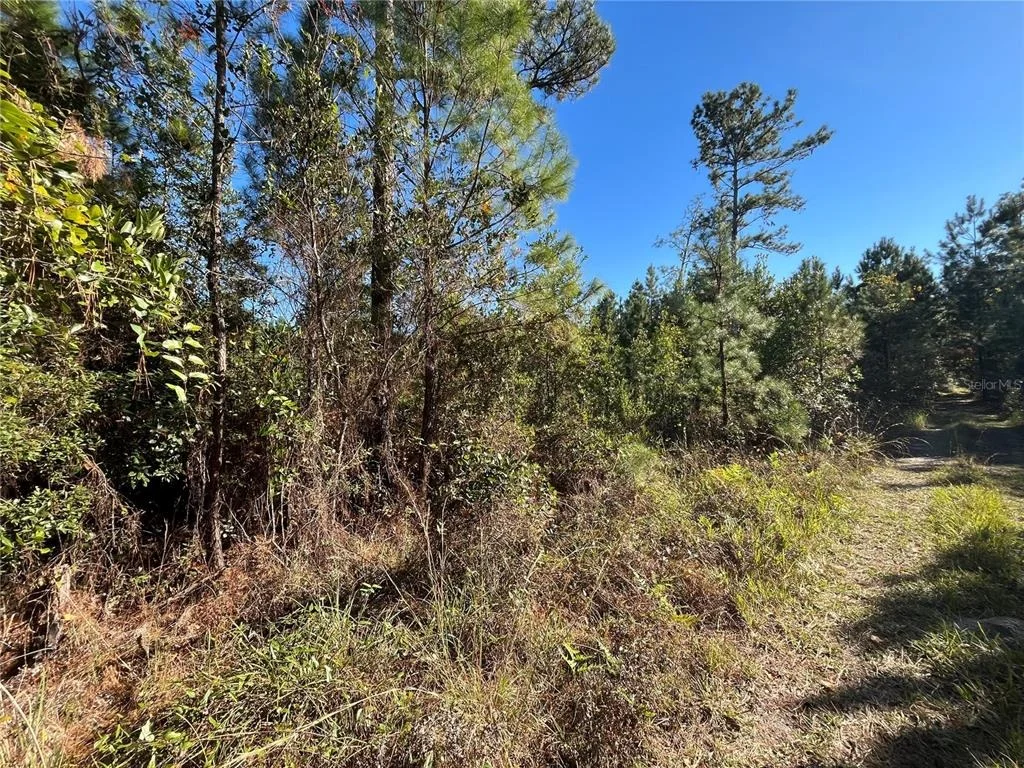 Photo of 223 MOURNING DOVE ROAD