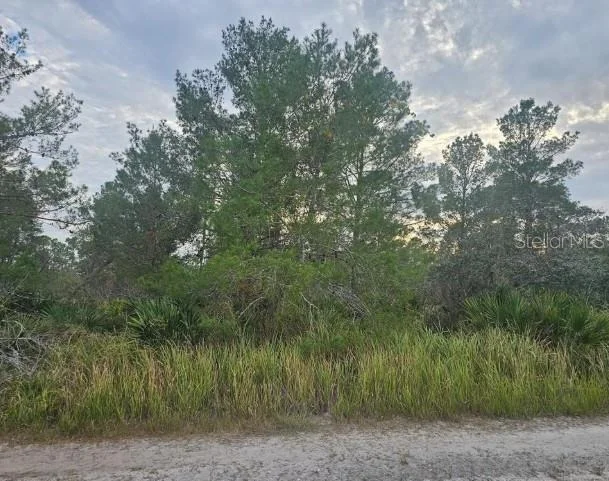 Photo of 2217 ALGONQUIN DRIVE