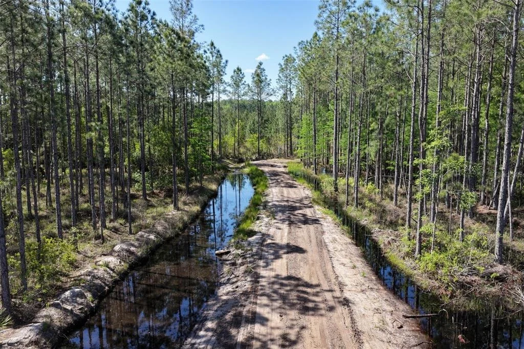 Photo of 15539 COUNTY RD 305