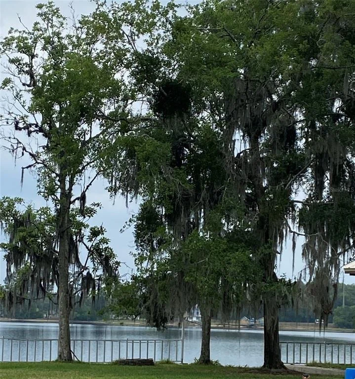 Photo of 229 LAKE IDA POINT DRIVE