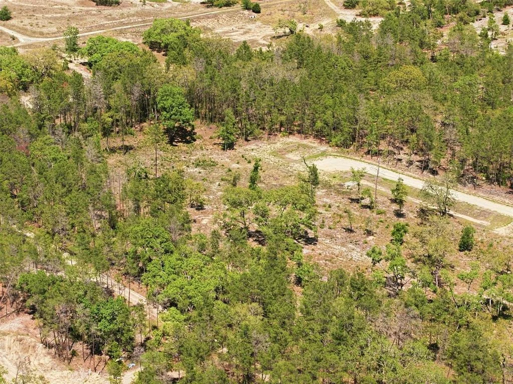 Photo of 13331 HAVEN (LOT 4) TRAIL