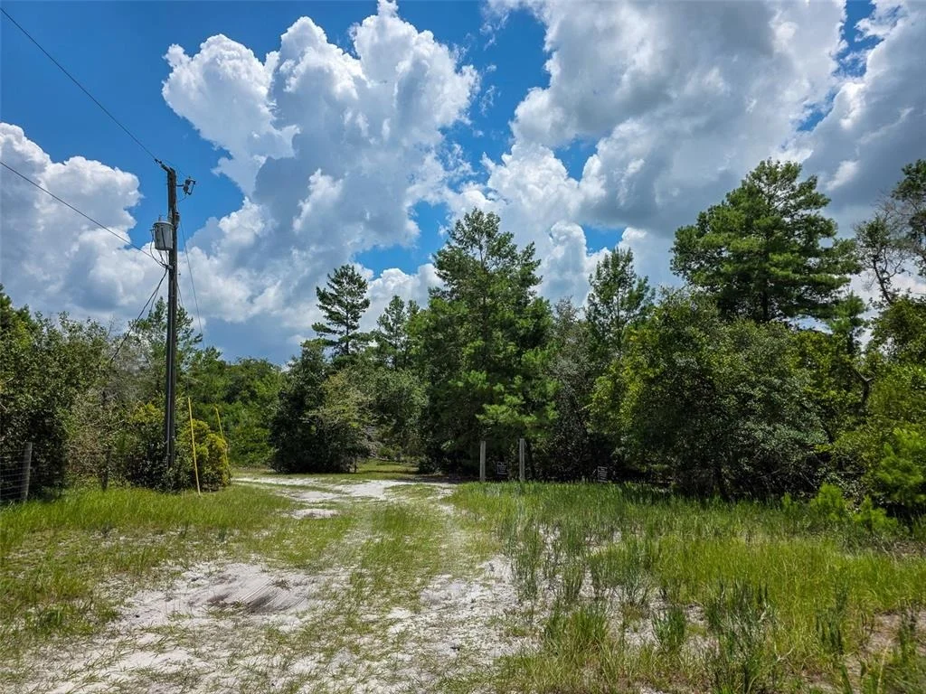 Photo of 340 SAND PINE PLACE