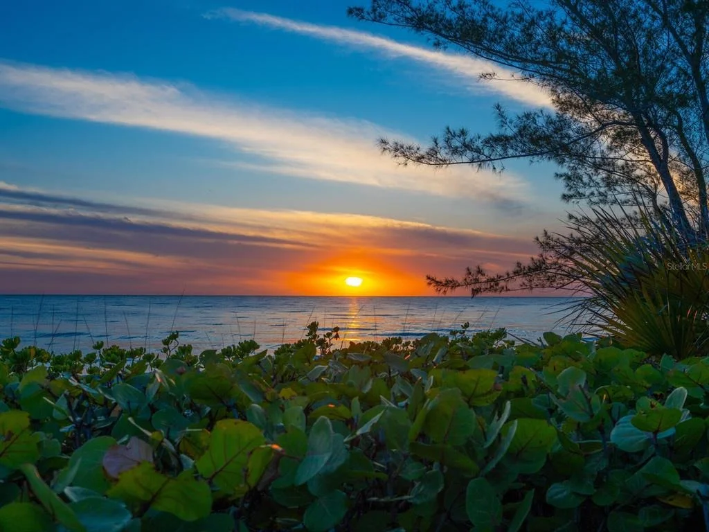Photo of 3201 CASEY KEY ROAD