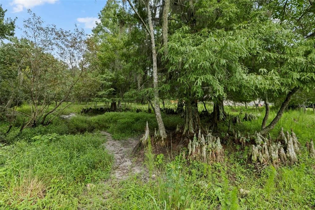 Photo of 6930 MUCK POND ROAD