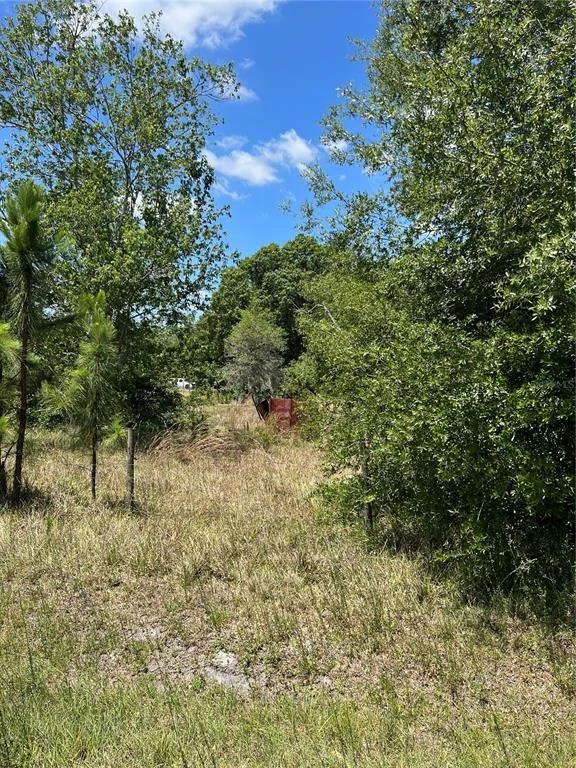 Photo of 2519 STATE ROAD 33