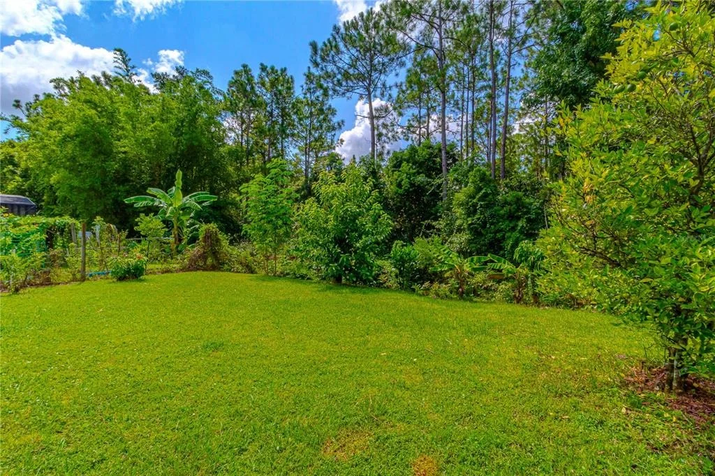 Photo of 10462 WILLOW RIDGE LOOP