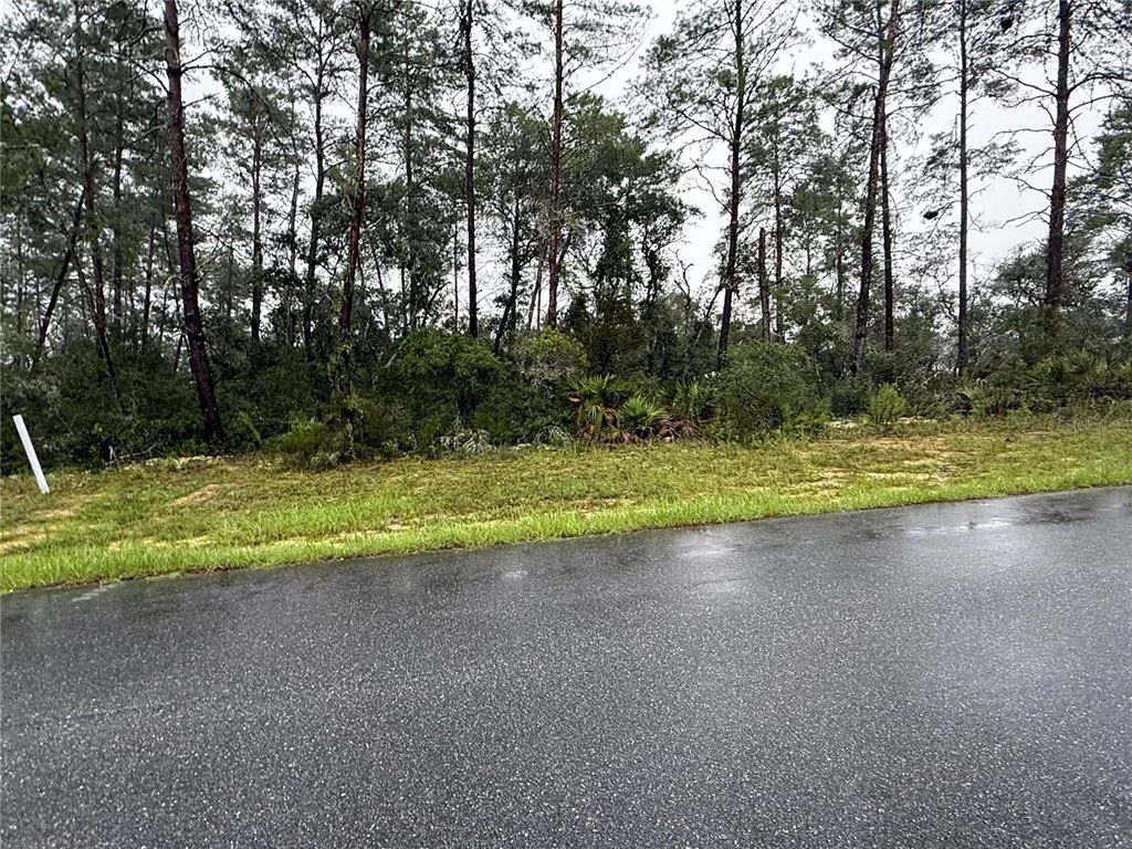 Photo of 0 SW 176TH LOOP