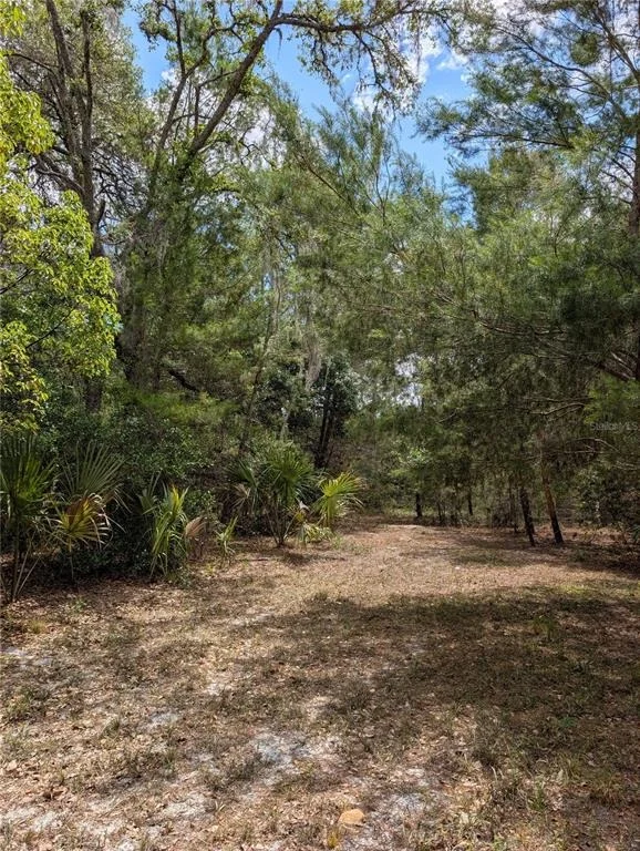 Photo of 38521 ILEX TRAIL