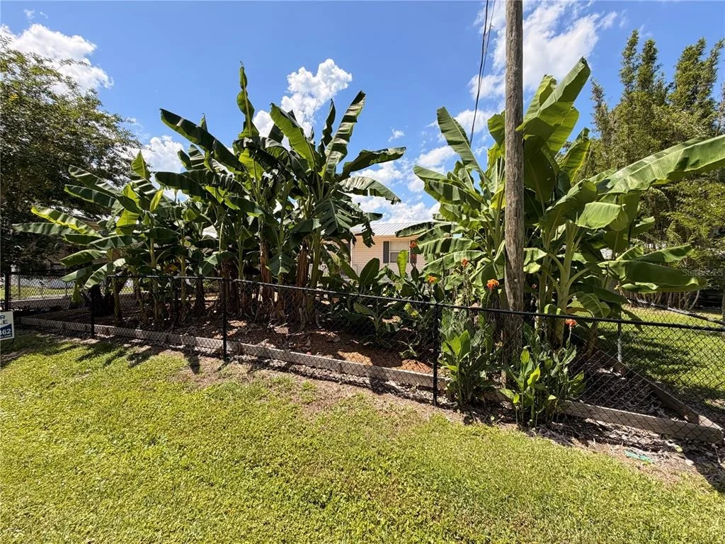 Photo of 24521 ALLIGATOR ROAD