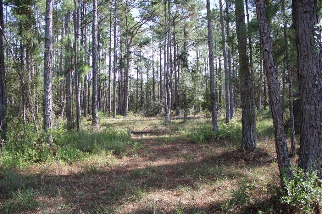 Photo of DUBOISE DRIVE