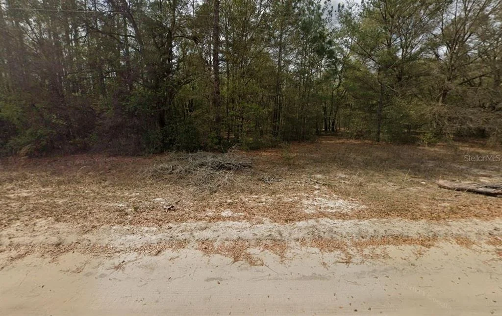 Photo of GUY AVENUE
