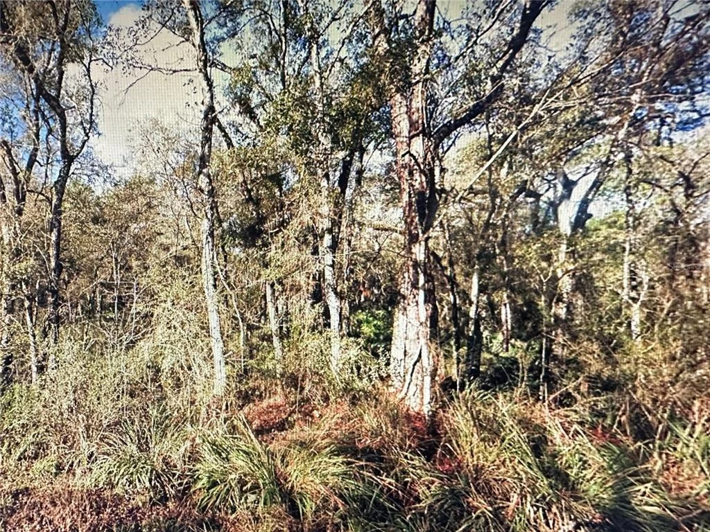Photo of TABLE ROCK DRIVE