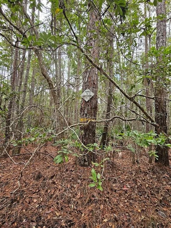 Photo of 804 SHELL HARBOR ROAD