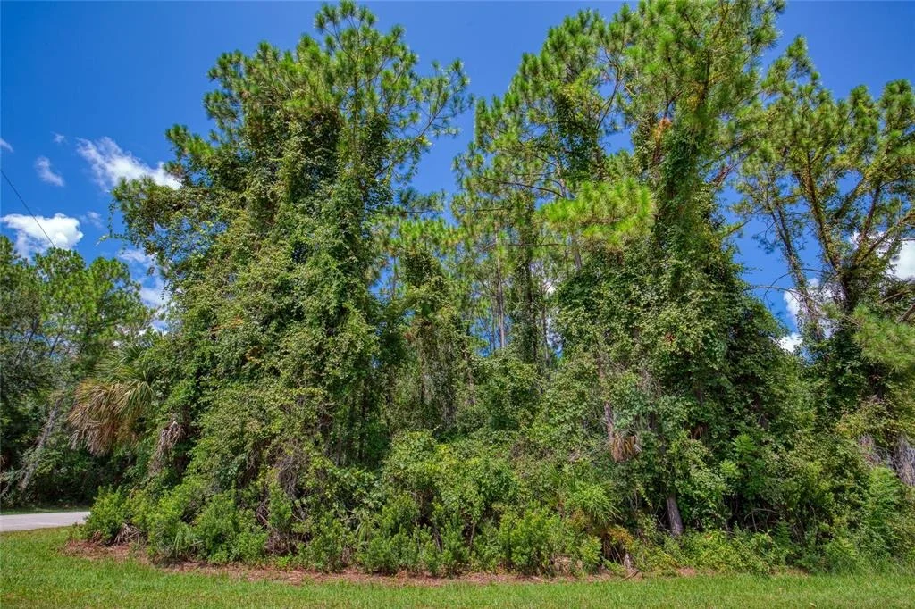 Photo of 32 UHL PATH