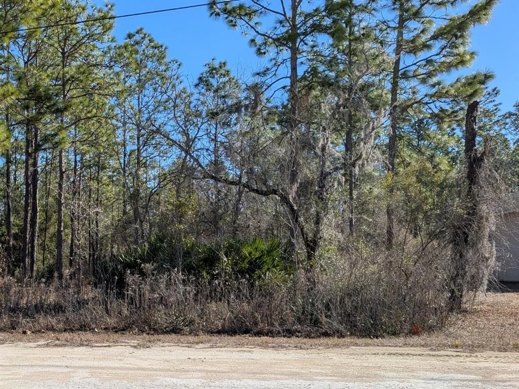 Photo of 15252 COOT ROAD
