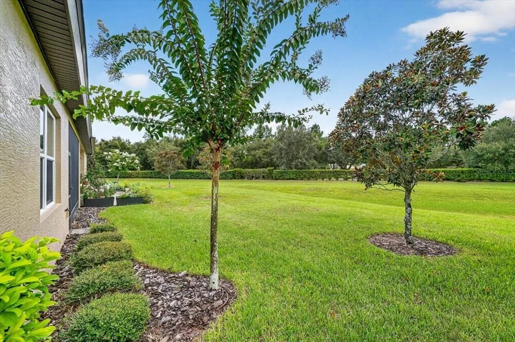 Photo of 3124 BAILEY ANN DRIVE