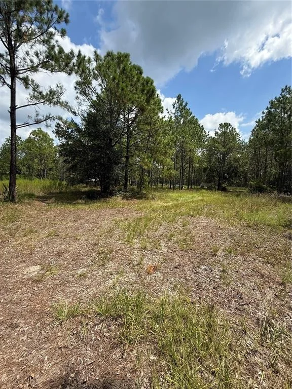 Photo of 60 NATALIES LANE