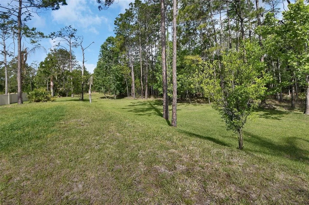 Photo of 443 JUNIPER LANE