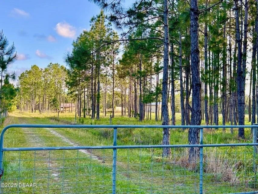Photo of 201 WASICK LANE