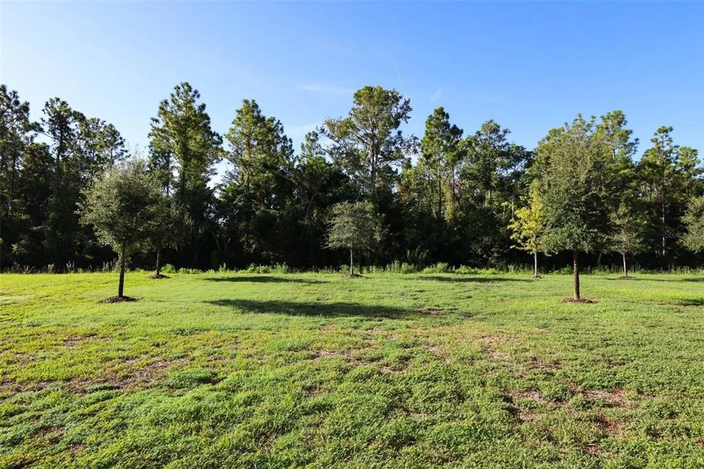 Photo of 5288 OBSIDIAN GATE DRIVE