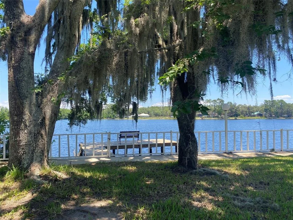 Photo of 229 LAKE IDA POINT DRIVE