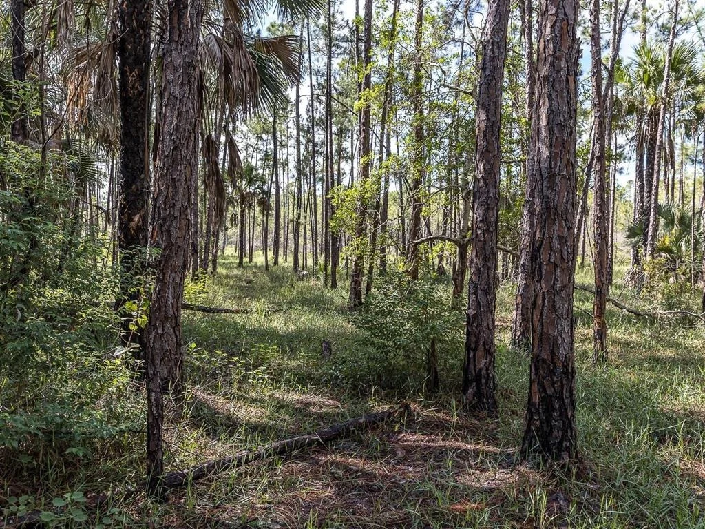 Photo of 37610 OAKLEE ROAD