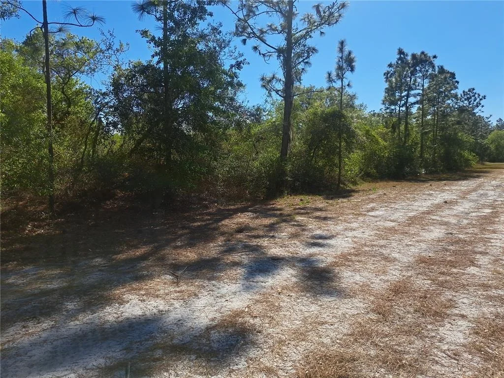Photo of 5 EL DORADO DRIVE