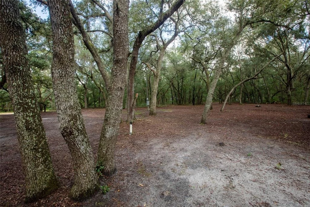 Photo of 5590 JENKINS LOOP DRIVE