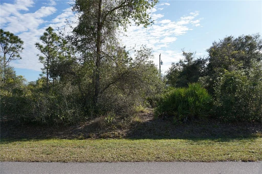 Photo of 334 OMEN STREET