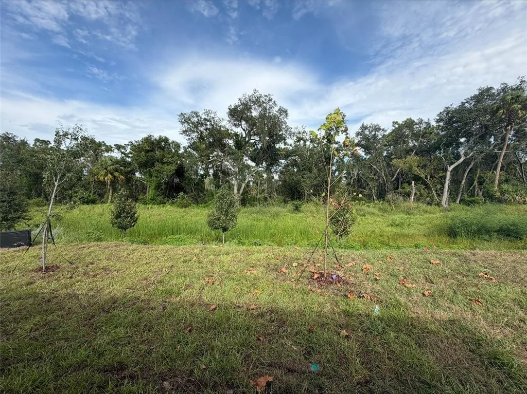 Photo of 10858 CURVING CREEK LOOP