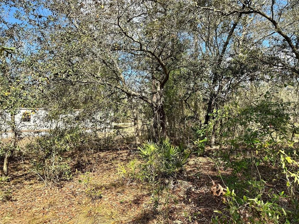 Photo of TBD NE 68TH PLACE