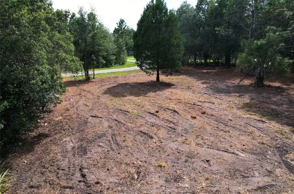 Photo of 8750 N CATAPANE LOOP