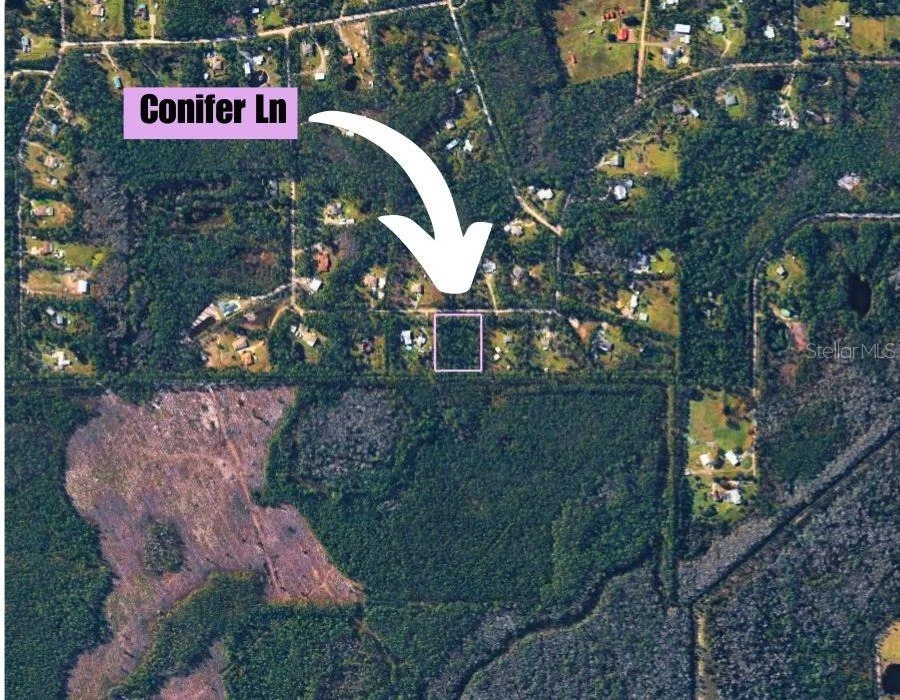 Photo of 220 CONIFER LANE
