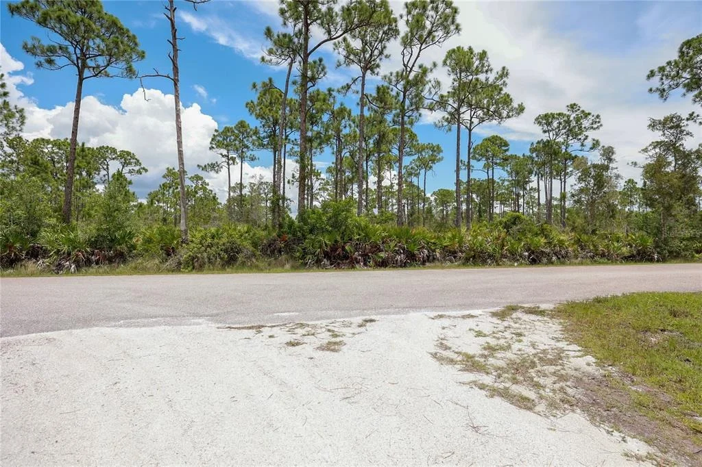 Photo of 28364 PLATO DRIVE