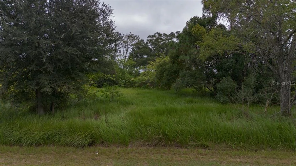 Photo of LAUREL CT
