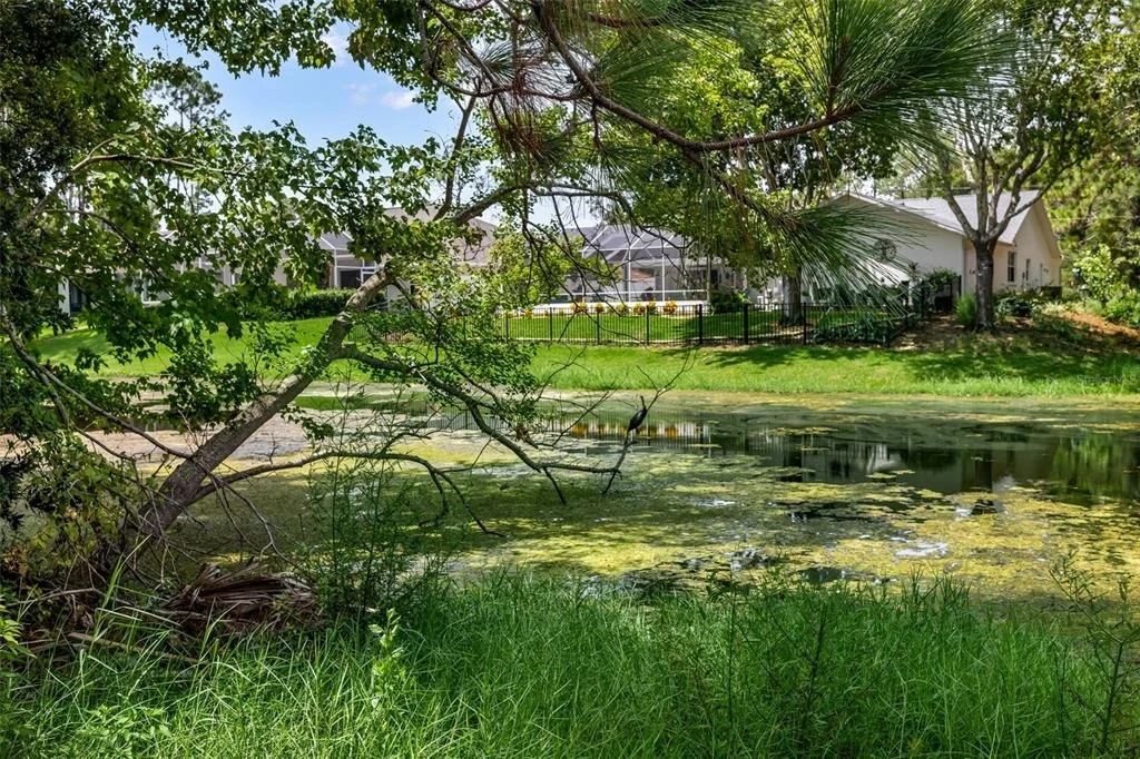 Photo of 73 WATERS DRIVE