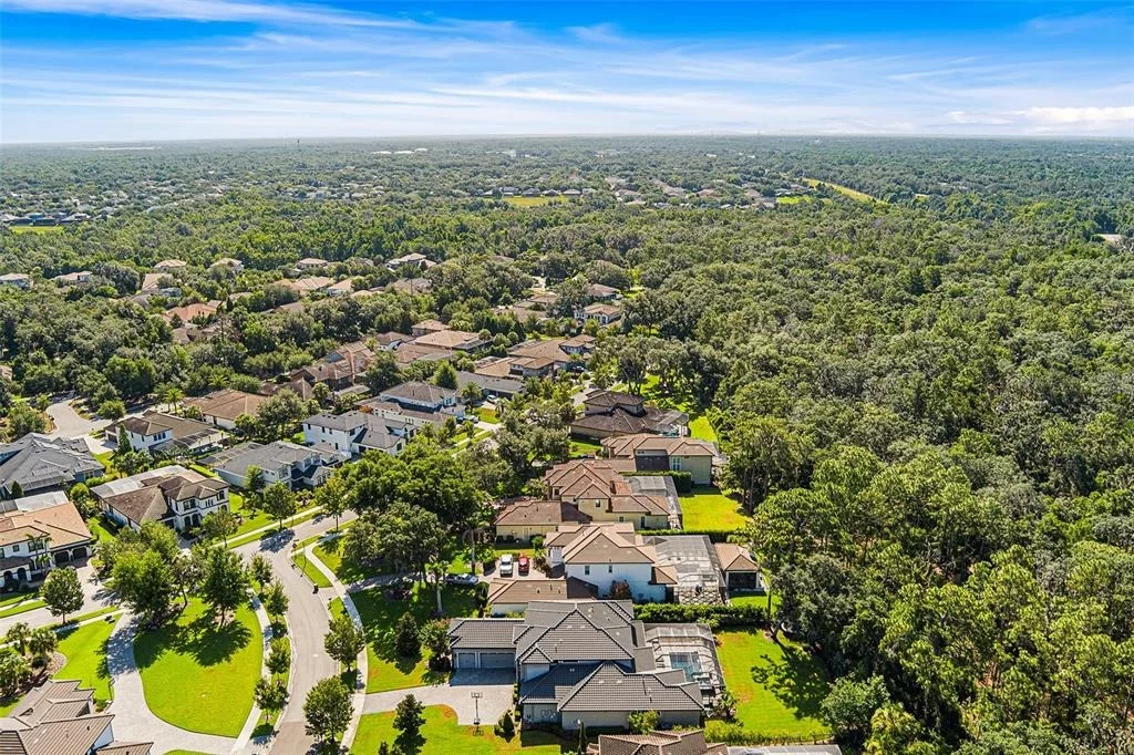 Photo of 14704 FISHHAWK PRESERVE DRIVE