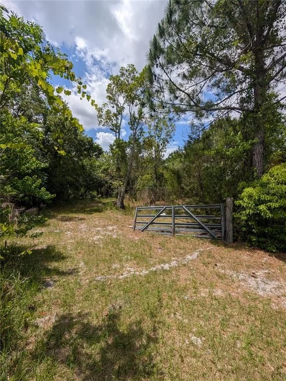 Photo of 38521 ILEX TRAIL