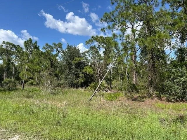 Photo of 13036 APACHE DRIVE