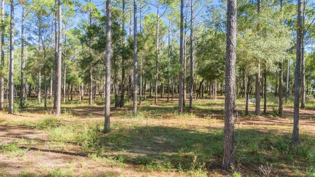 Photo of 24250 DEEP SPRINGS LOOP