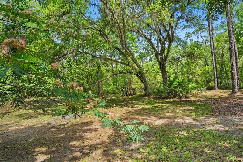 Photo of 5526 DON MANUEL ROAD
