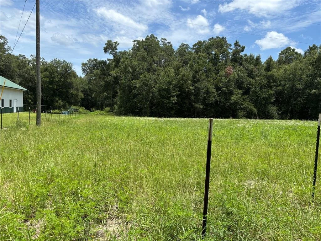 Photo of NE 23
