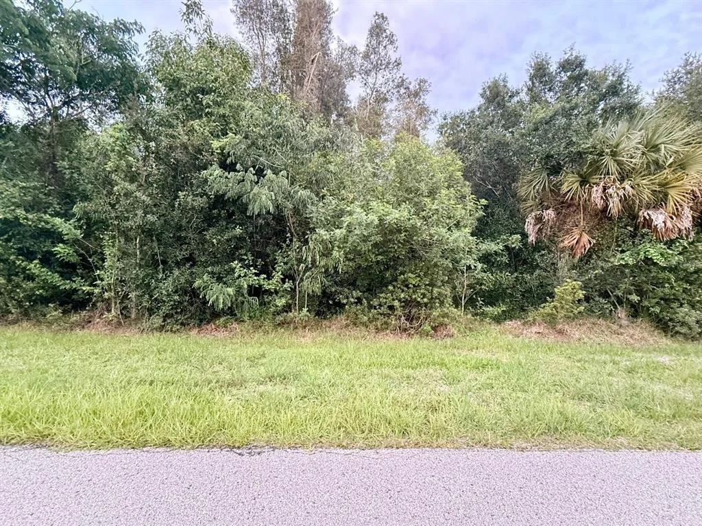 Photo of 133 VANILLA CIRCLE