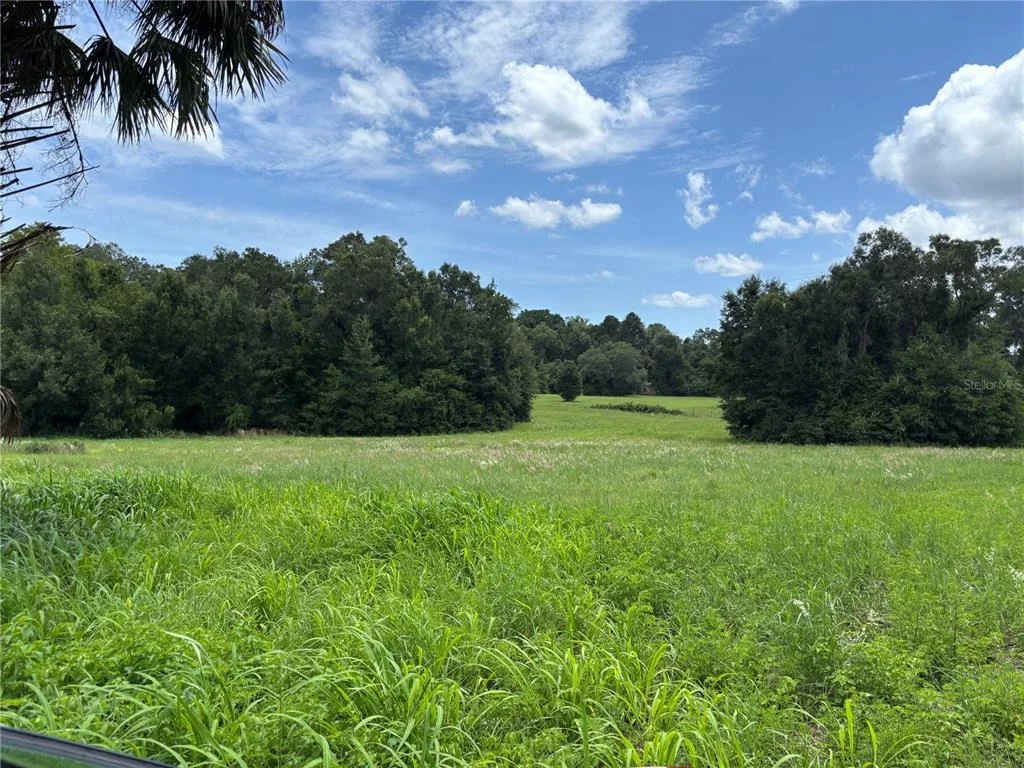 Photo of NE 23