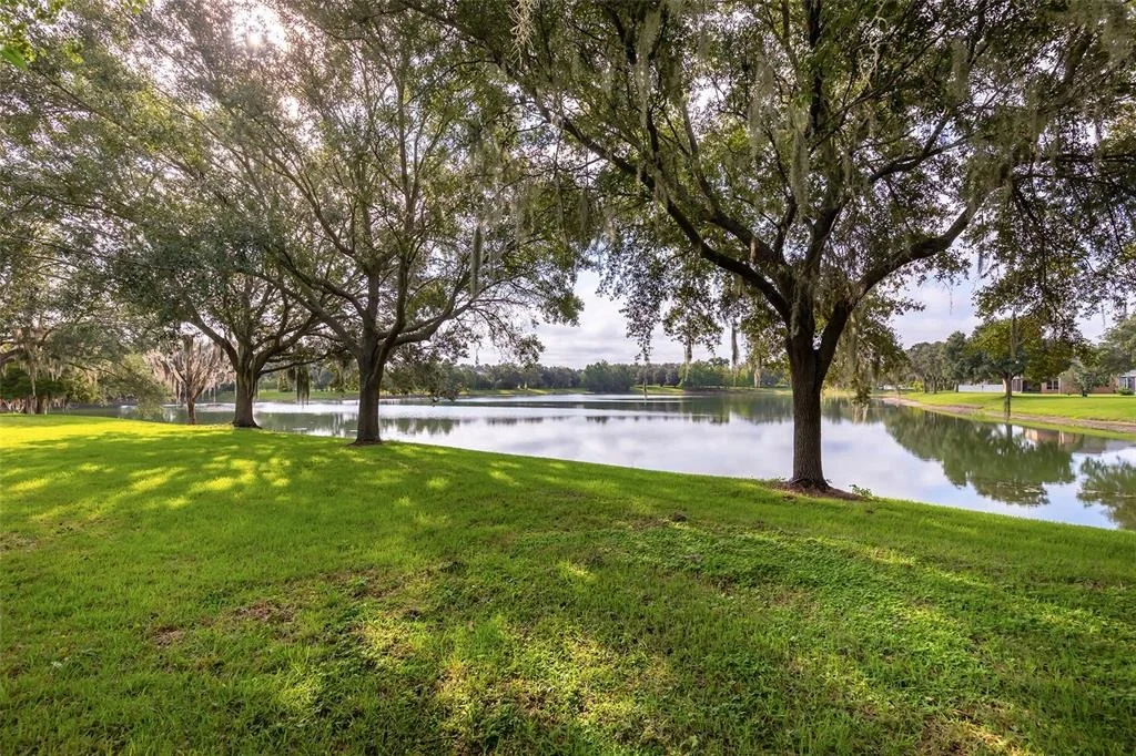 Photo of 13844 AMELIA POND DRIVE