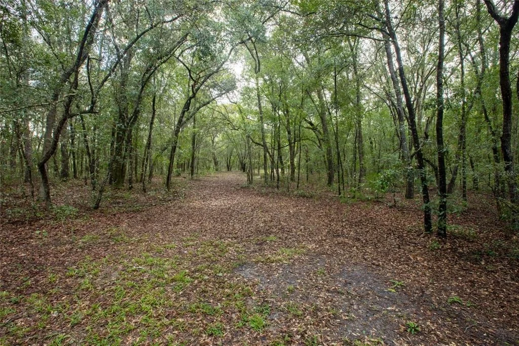 Photo of 5590 JENKINS LOOP DRIVE
