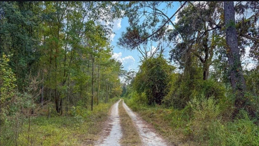Photo of TBD Lot 35 SE US 41 HIGHWAY