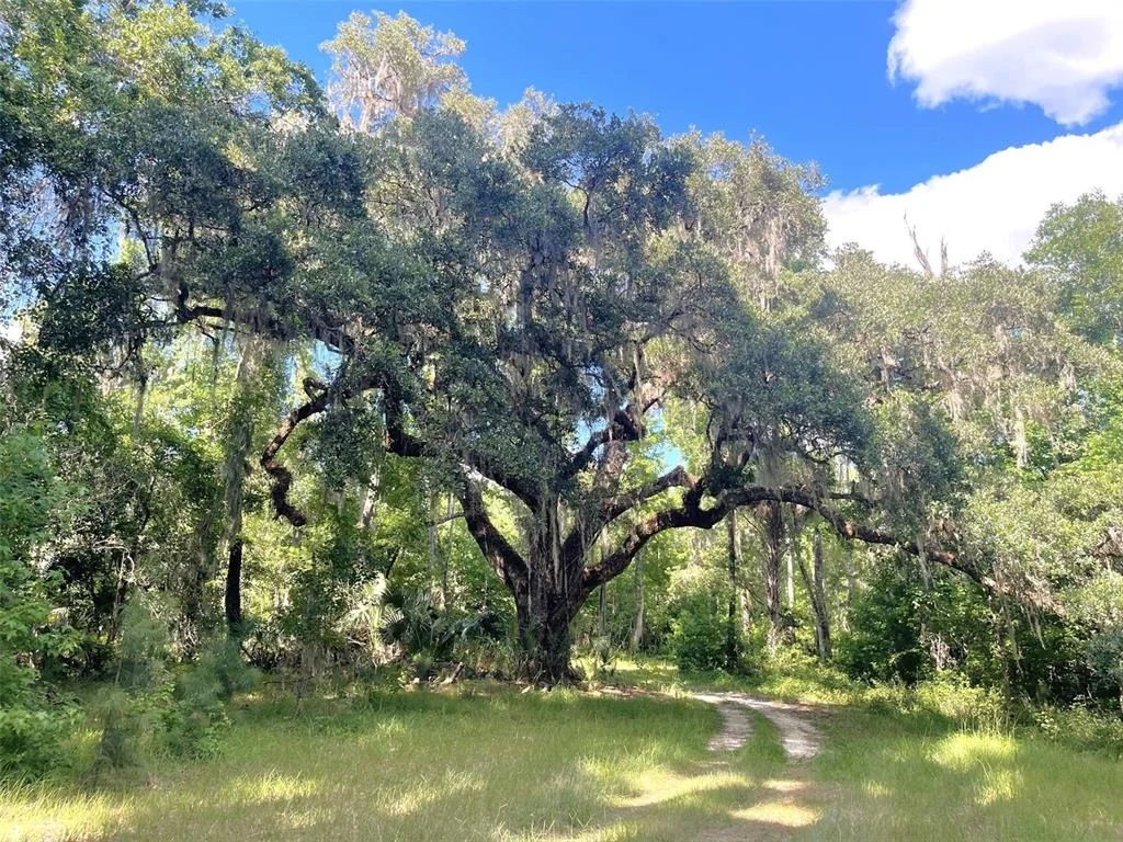 Photo of 11816 SE COUNTY ROAD 234