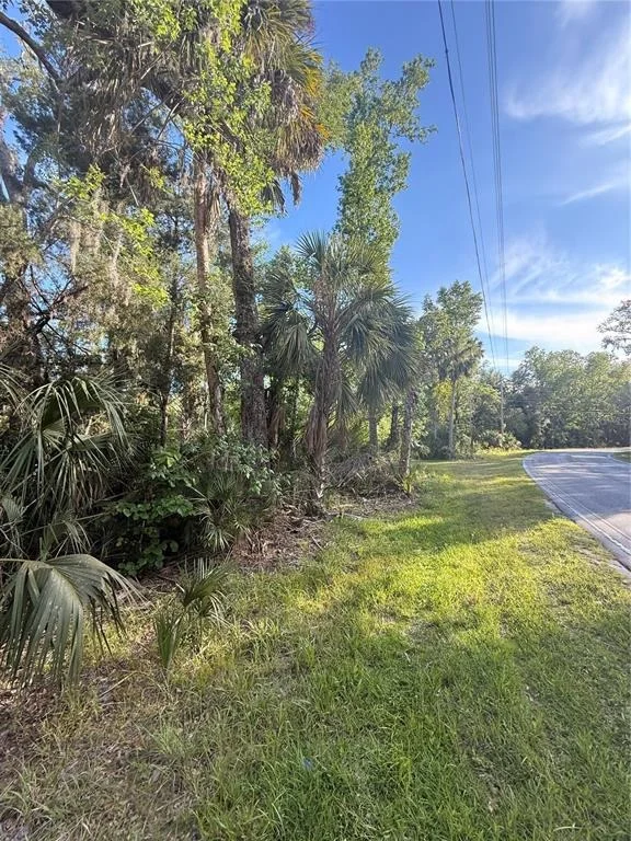 Photo of 10274 W OZELLO TRAIL